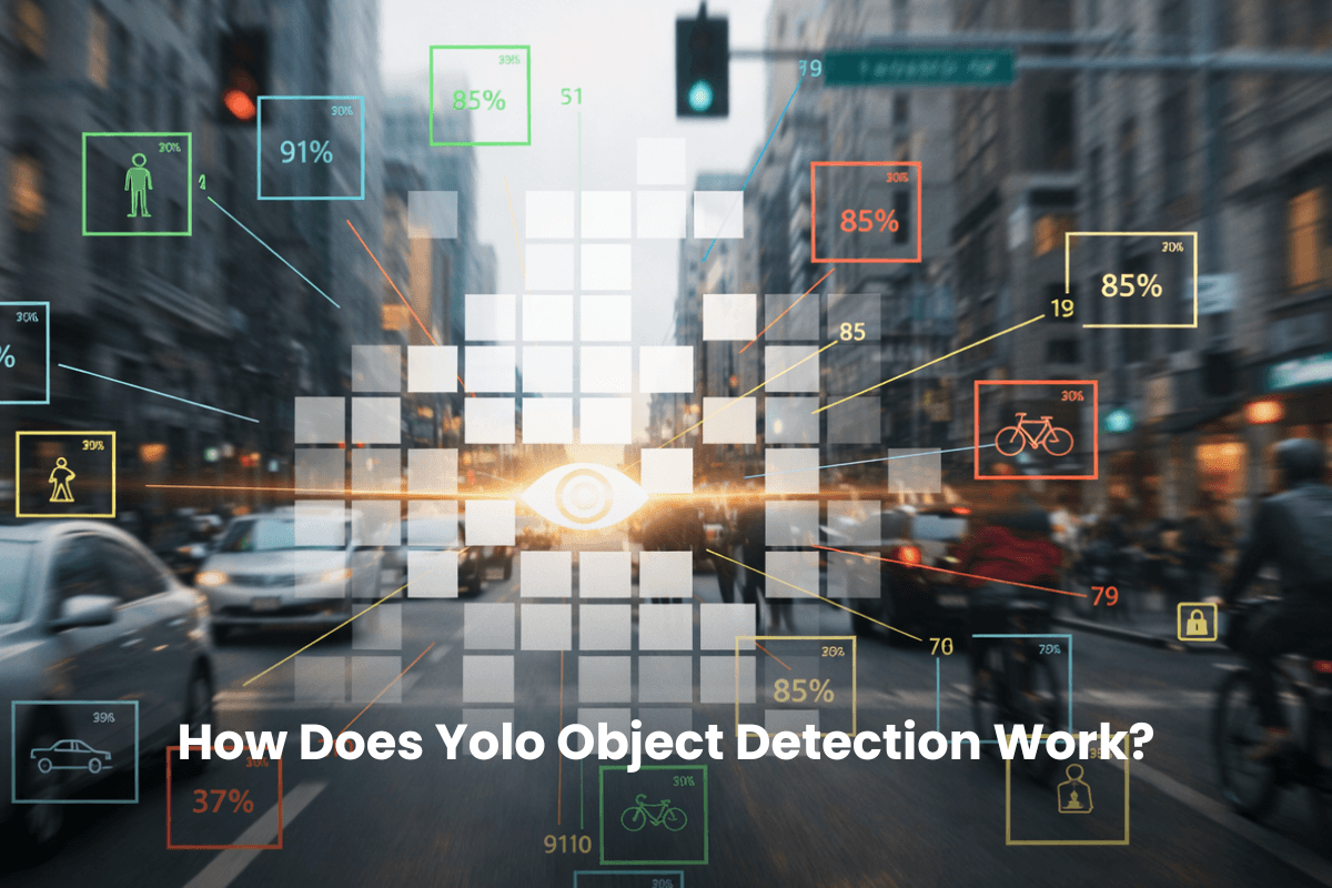 How Does Yolo Object Detection Work?